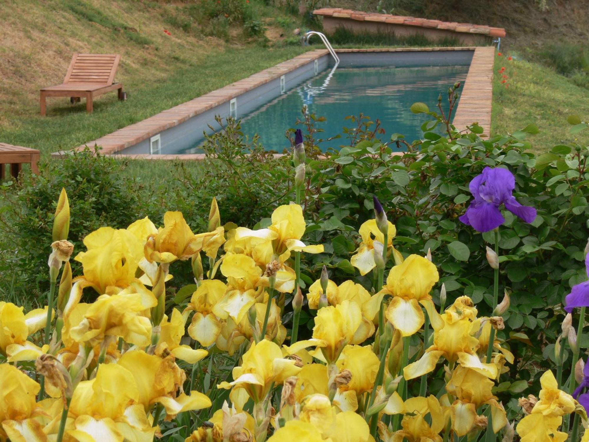 Casa Isabella Guest House Vaglio Serra Luaran gambar