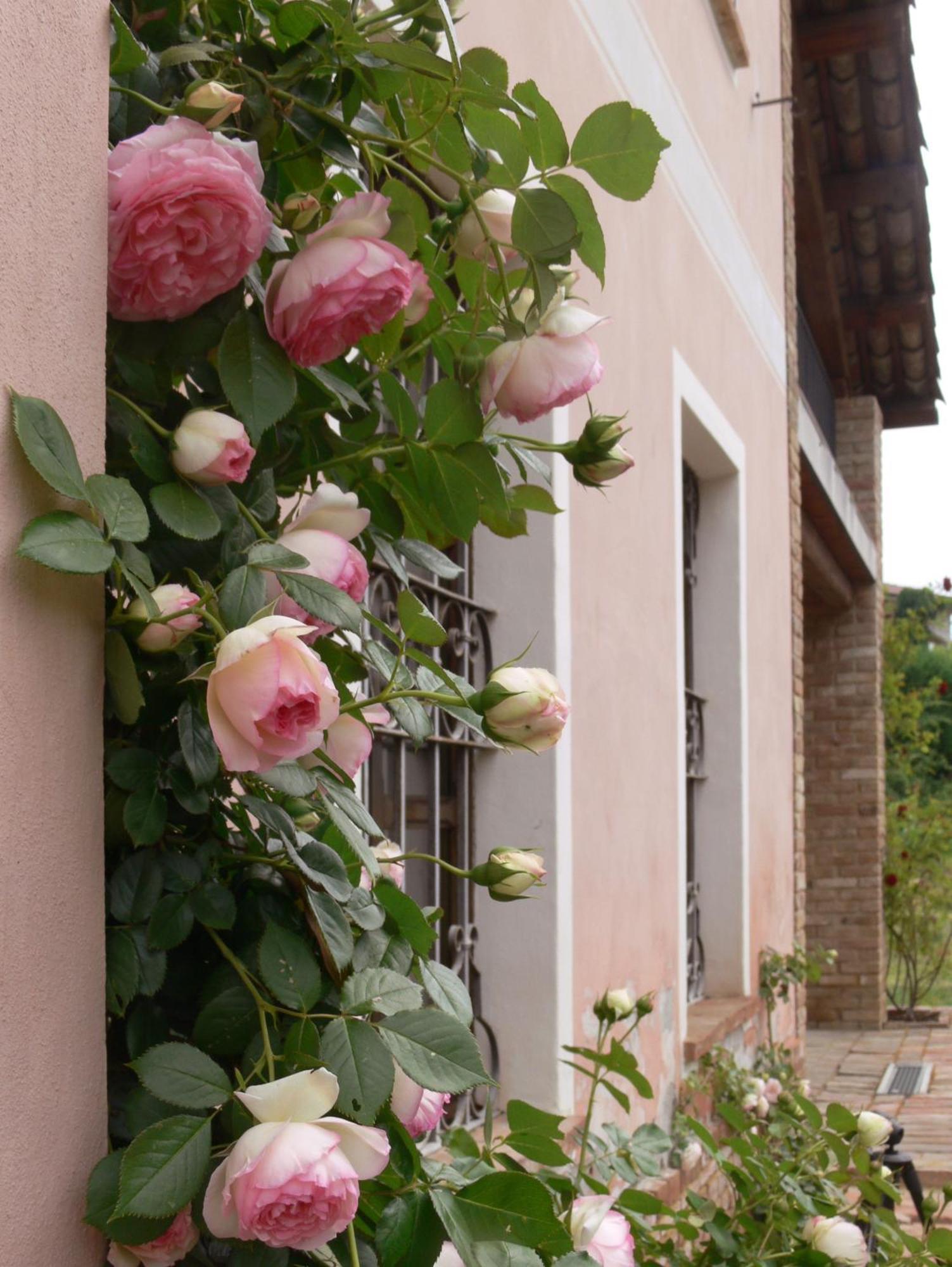 Casa Isabella Guest House Vaglio Serra Luaran gambar