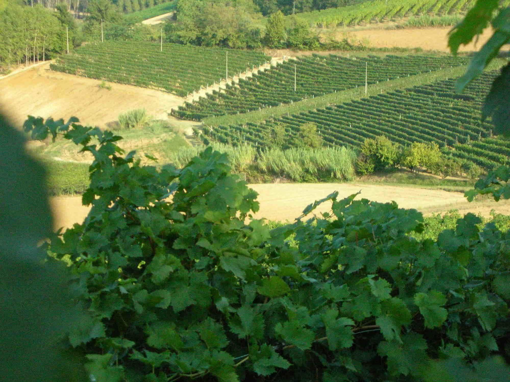 Casa Isabella Guest House Vaglio Serra Luaran gambar
